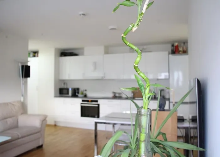 Central, New, 2 Bed Rooms, Fully Furnished